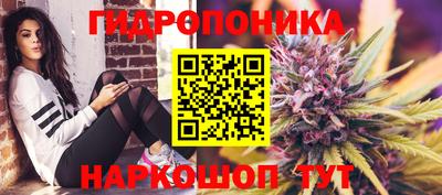 СК Рязань