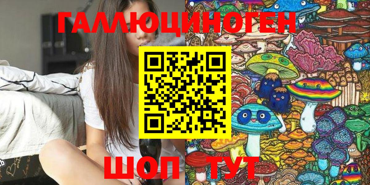 Галлюциногенные грибы Psilocybe Моздок